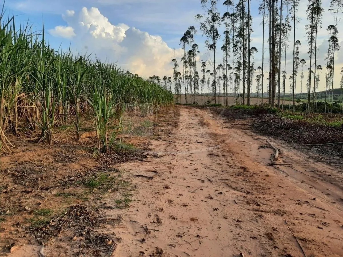 Small farm for sale of 121 acres in Altinópolis, SP, Brazil