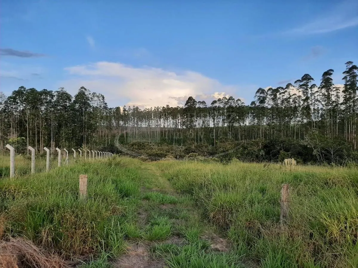 Sítio à venda de 49 ha em Altinópolis, SP, Brasil