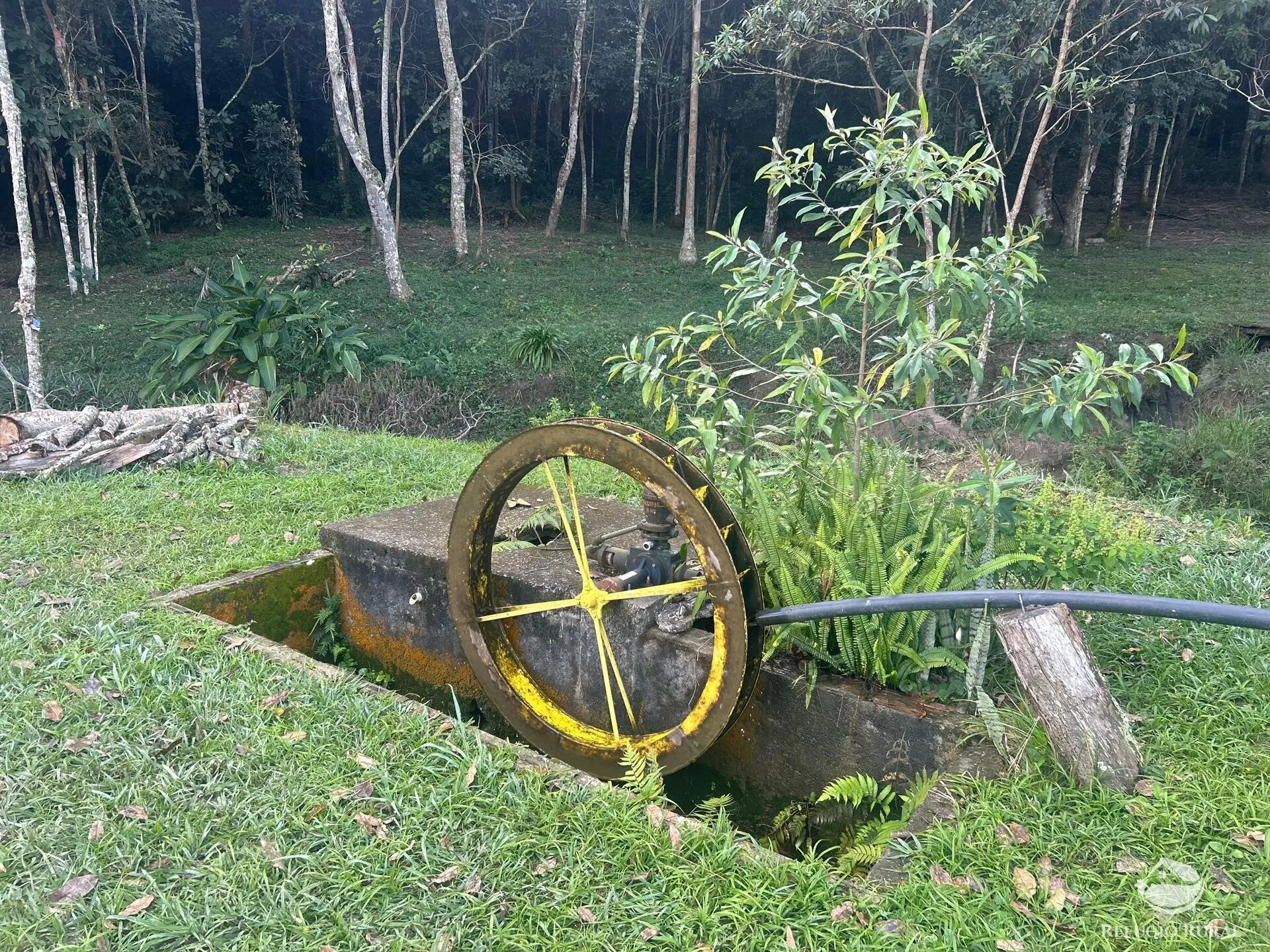 Sítio à venda de 3 ha em Jambeiro, SP, Brasil
