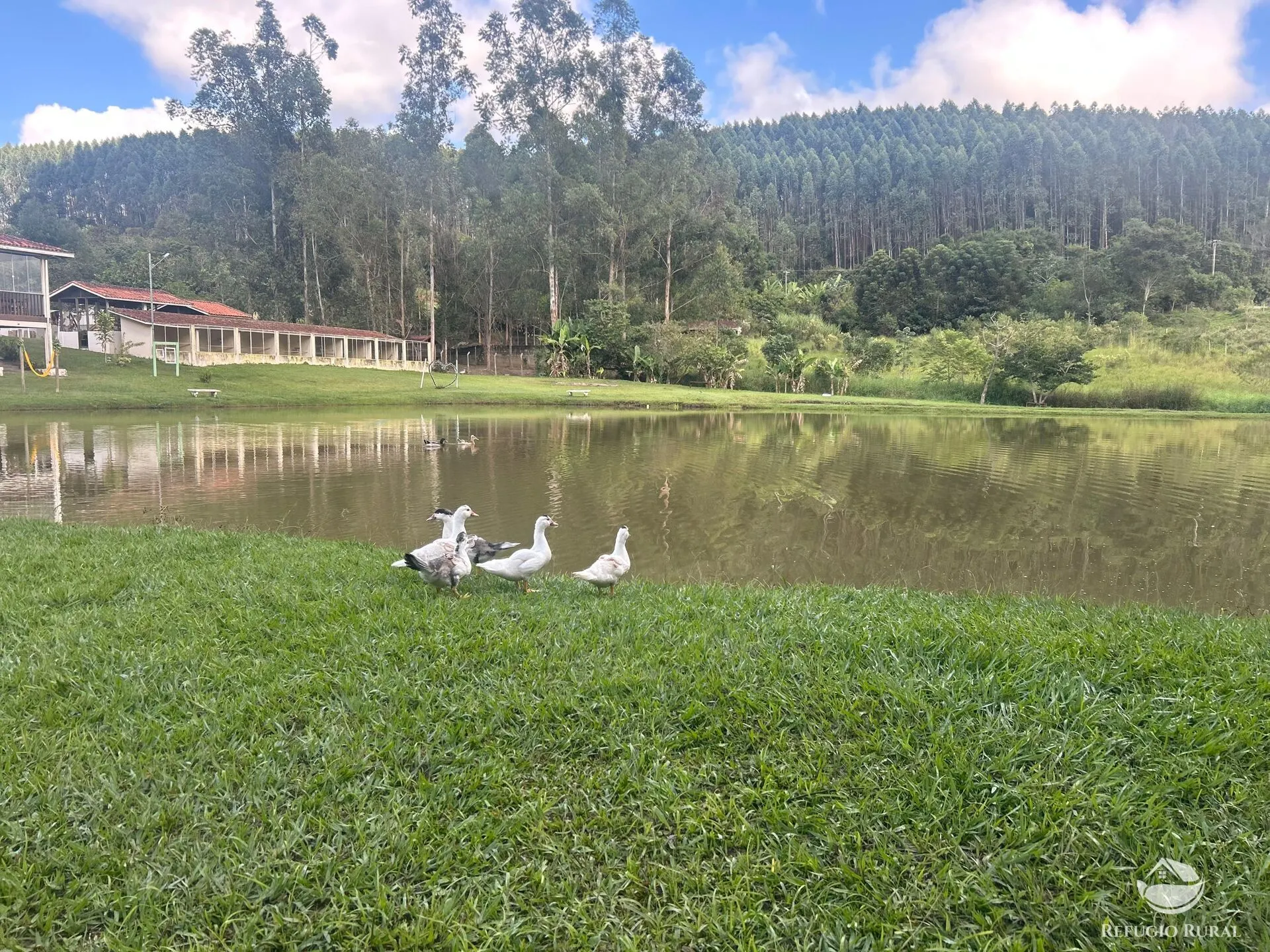 Sítio à venda de 3 ha em Jambeiro, SP, Brasil