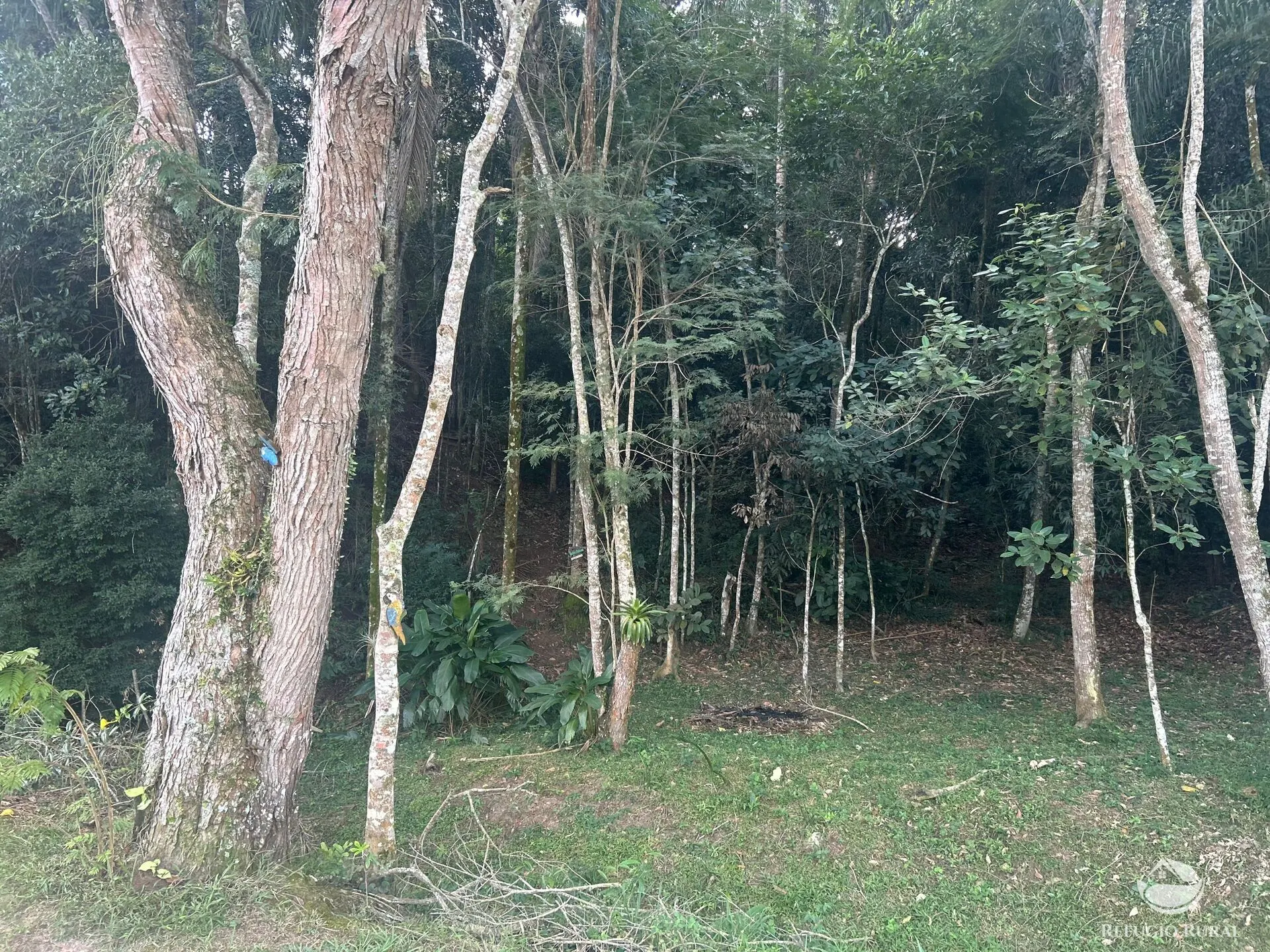 Sítio à venda de 3 ha em Jambeiro, SP, Brasil