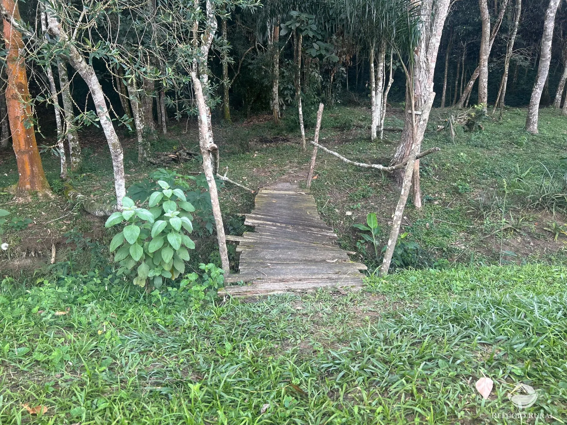 Sítio à venda de 3 ha em Jambeiro, SP, Brasil