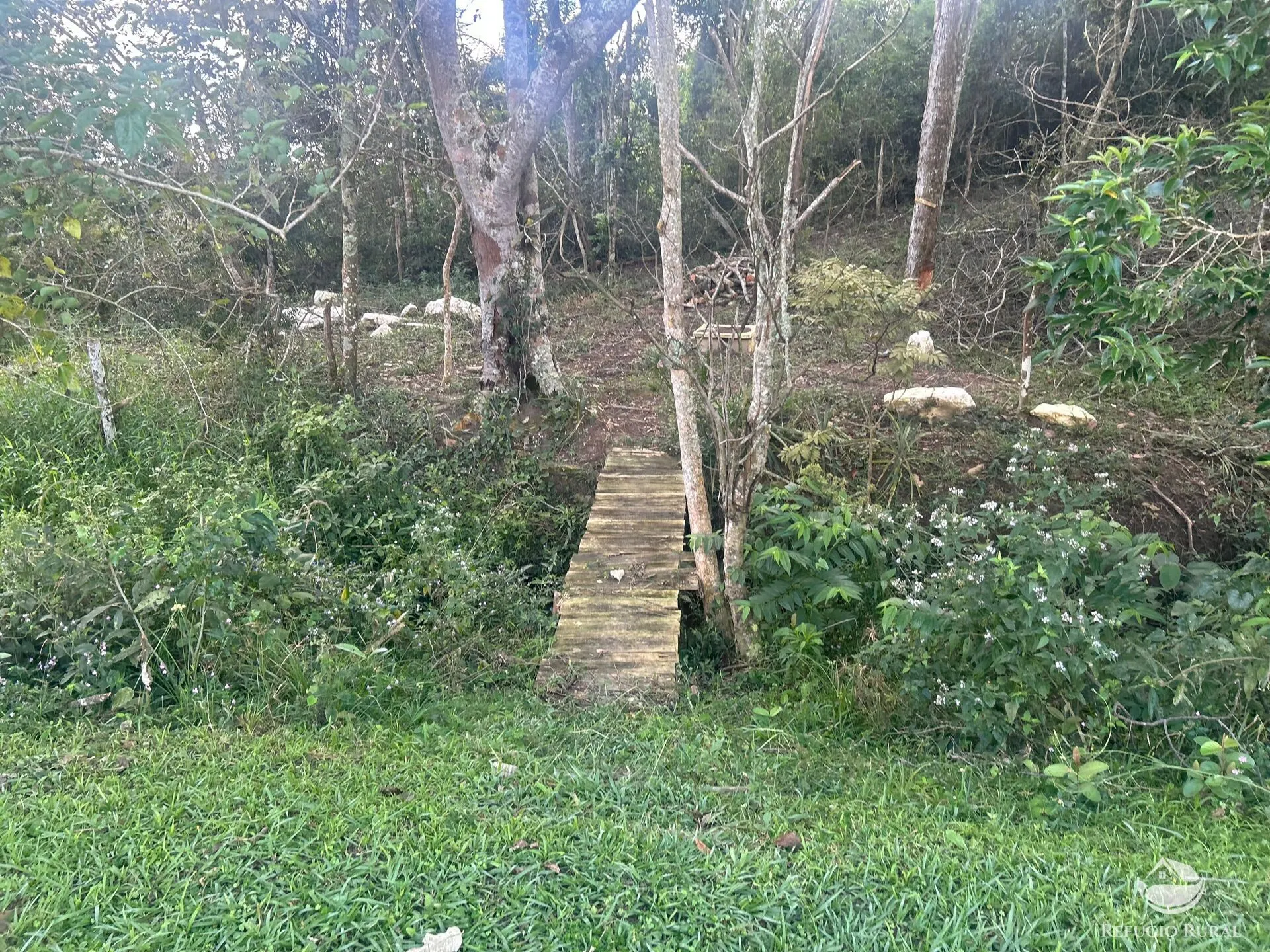Sítio à venda de 3 ha em Jambeiro, SP, Brasil