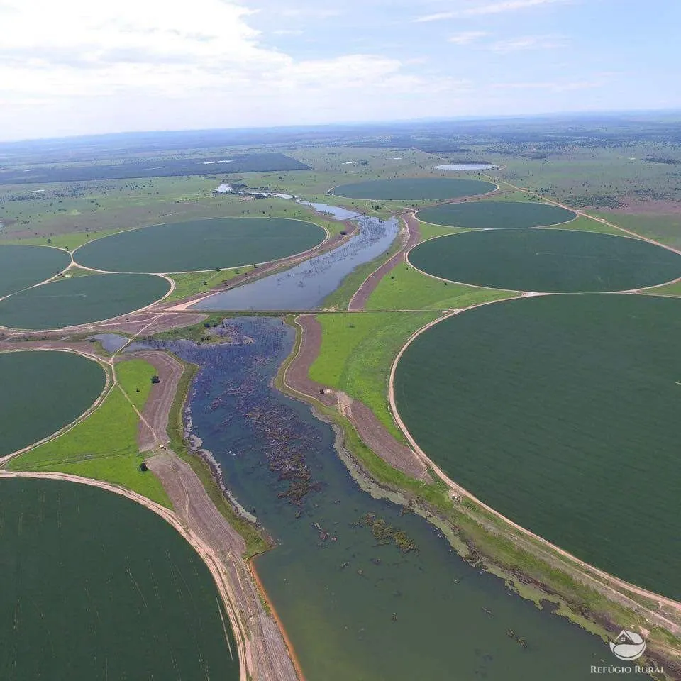 Fazenda à venda de 5.614 ha em Jussara, GO, Brasil