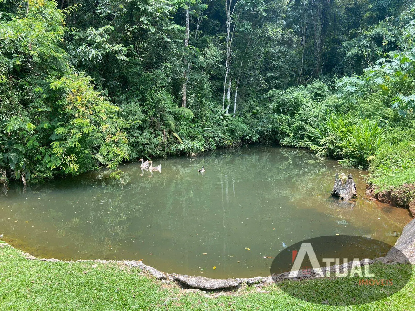 Chácara à venda de 2.677 m² em Nazaré Paulista, SP, Brasil