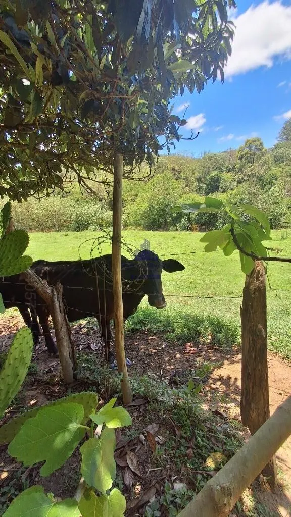 Chácara à venda de 120 m² em São Luiz do Paraitinga, SP, Brasil