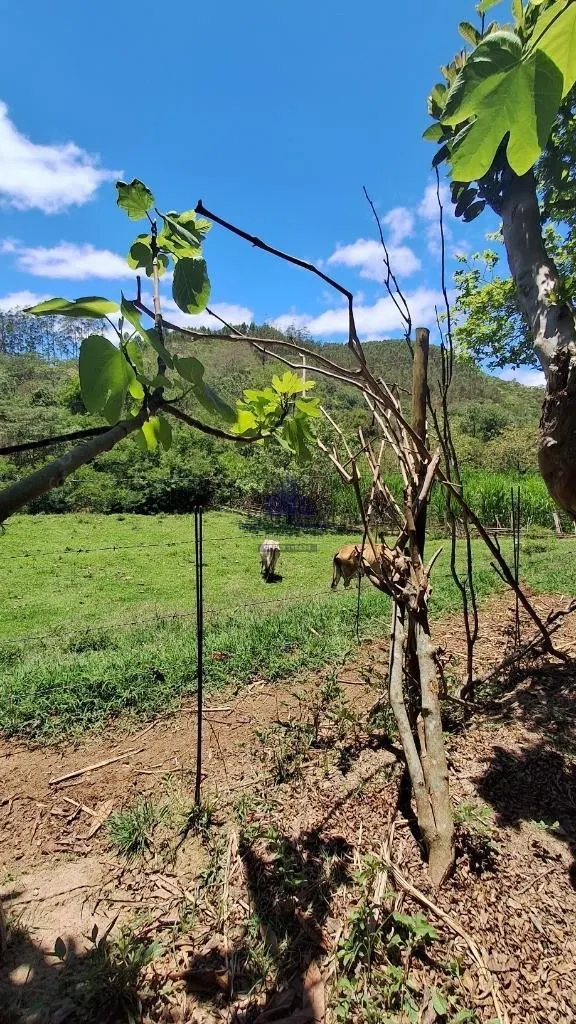 Chácara à venda de 120 m² em São Luiz do Paraitinga, SP, Brasil