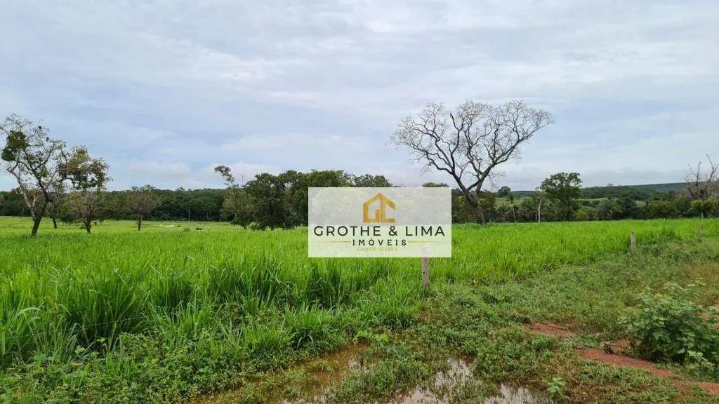 Fazenda à venda de 1.026 ha em Araguaína, TO, Brasil