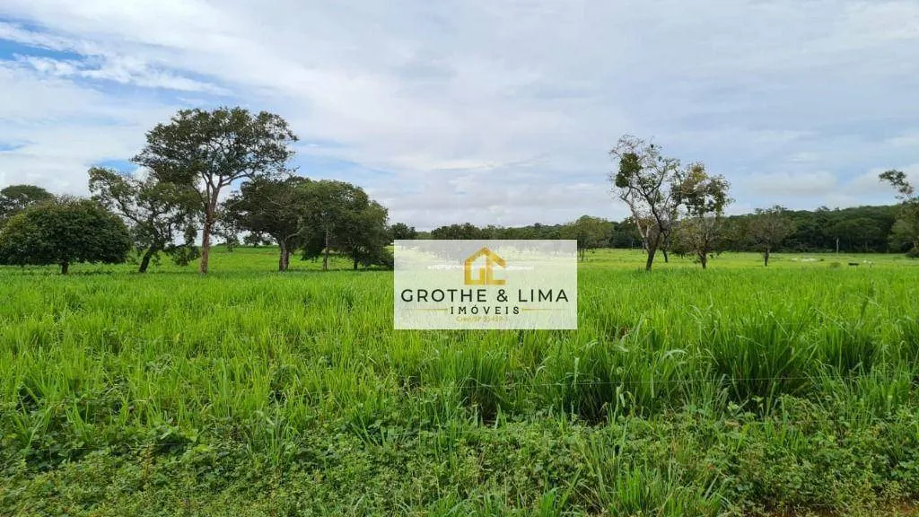 Fazenda à venda de 1.026 ha em Araguaína, TO, Brasil
