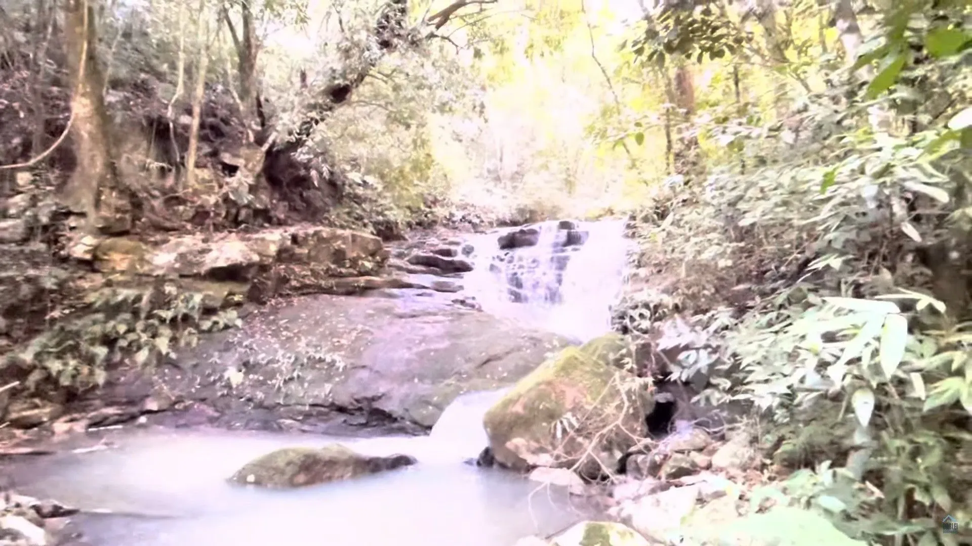Small farm for sale of 42 acres in Caraá, RS, Brazil