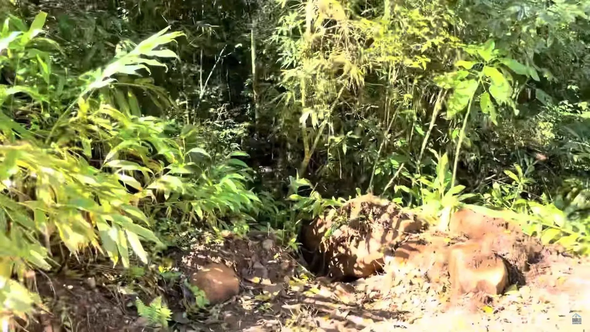 Small farm for sale of 42 acres in Caraá, RS, Brazil