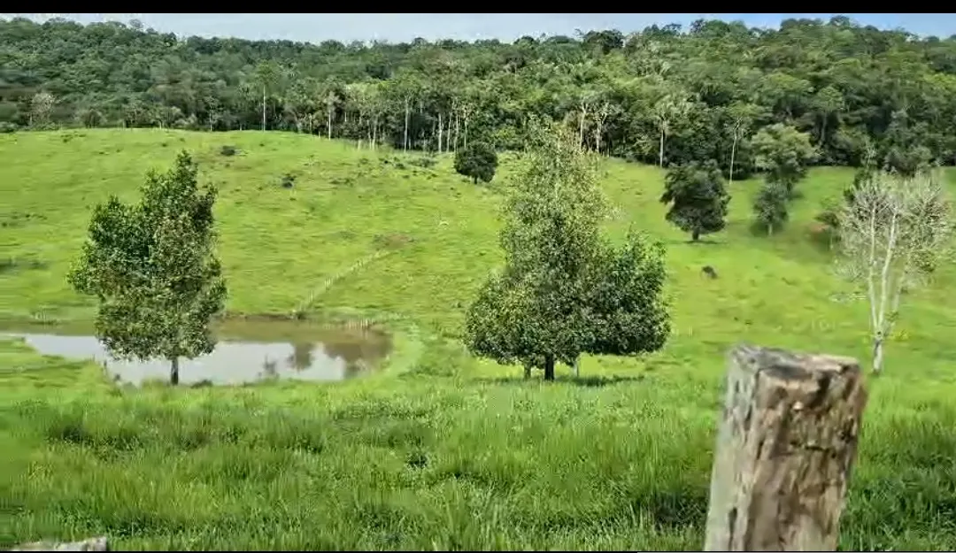 Fazenda à venda de 108 ha em Coaraci, BA, Brasil