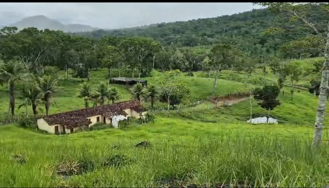 Fazenda à venda de 108 ha em Coaraci, BA, Brasil