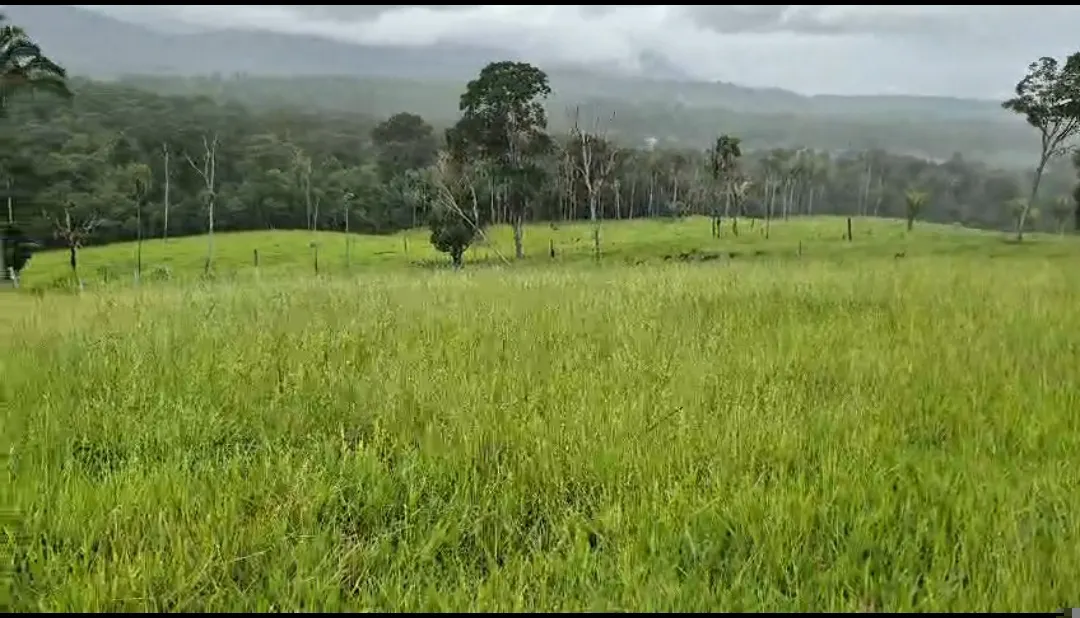 Fazenda à venda de 108 ha em Coaraci, BA, Brasil