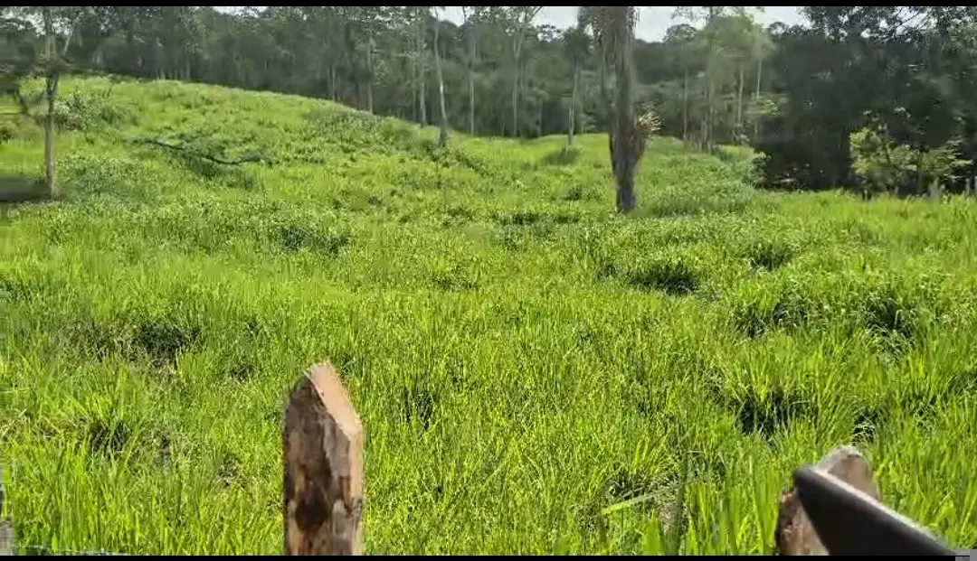 Fazenda à venda de 108 ha em Coaraci, BA, Brasil