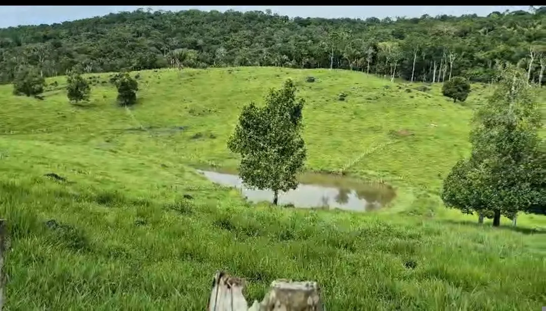 Fazenda à venda de 108 ha em Coaraci, BA, Brasil