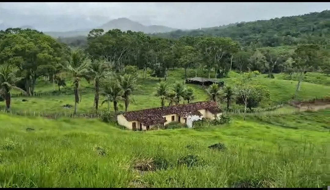 Fazenda à venda de 108 ha em Coaraci, BA, Brasil