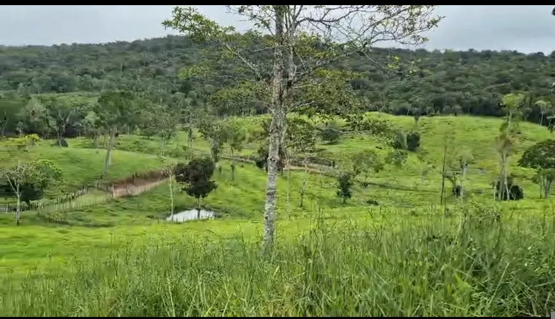 Fazenda à venda de 108 ha em Coaraci, BA, Brasil