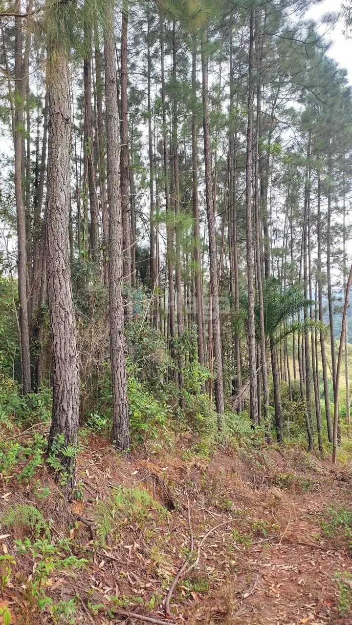 Terreno à venda de 7 ha em São João Batista, SC, Brasil