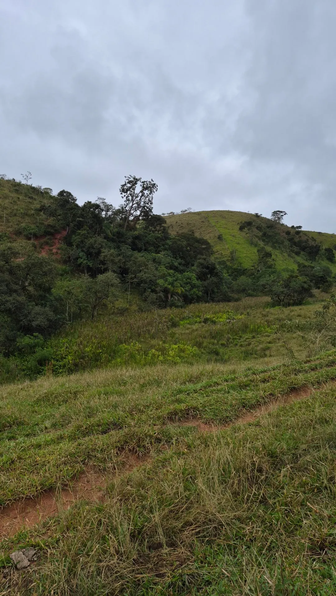 Plot for sale of 5 acres in Cunha, SP, Brazil