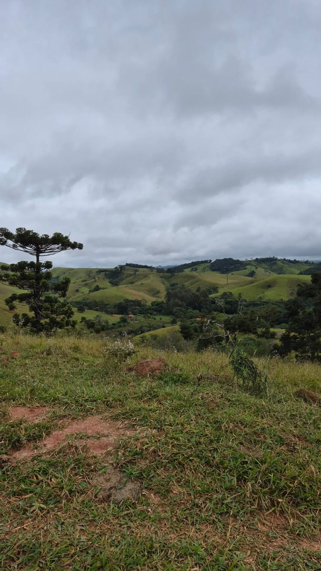 Plot for sale of 5 acres in Cunha, SP, Brazil