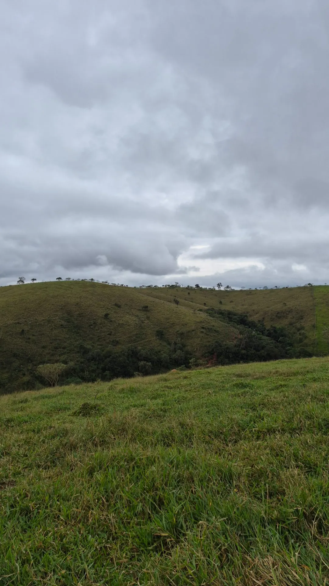 Plot for sale of 5 acres in Cunha, SP, Brazil