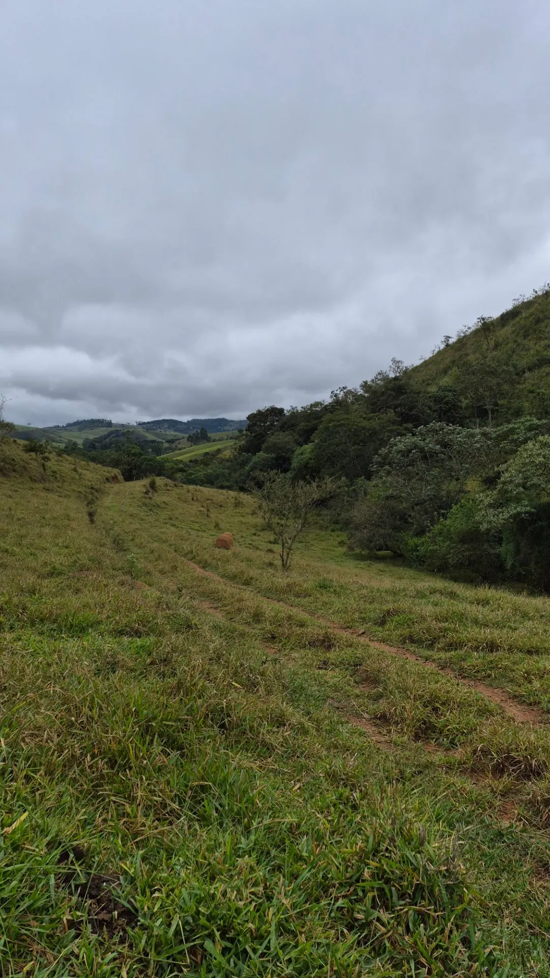 Plot for sale of 5 acres in Cunha, SP, Brazil