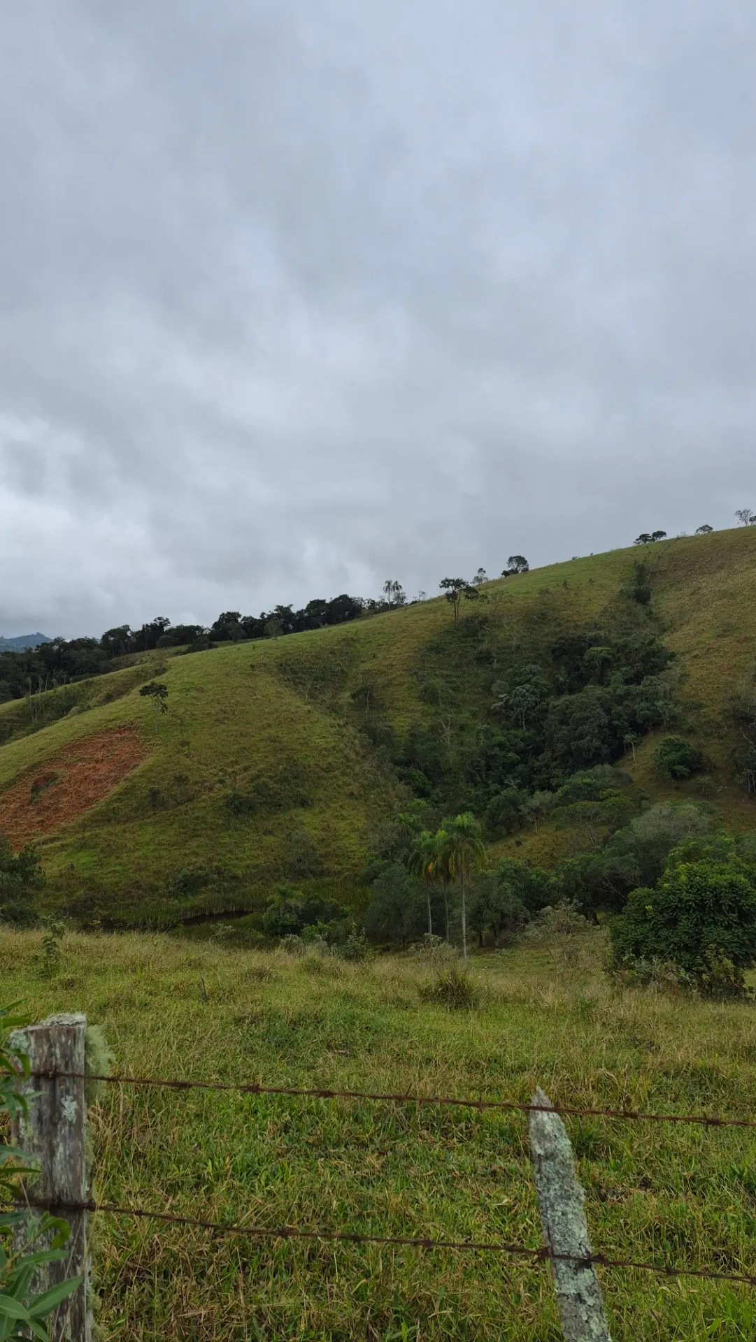 Plot for sale of 5 acres in Cunha, SP, Brazil