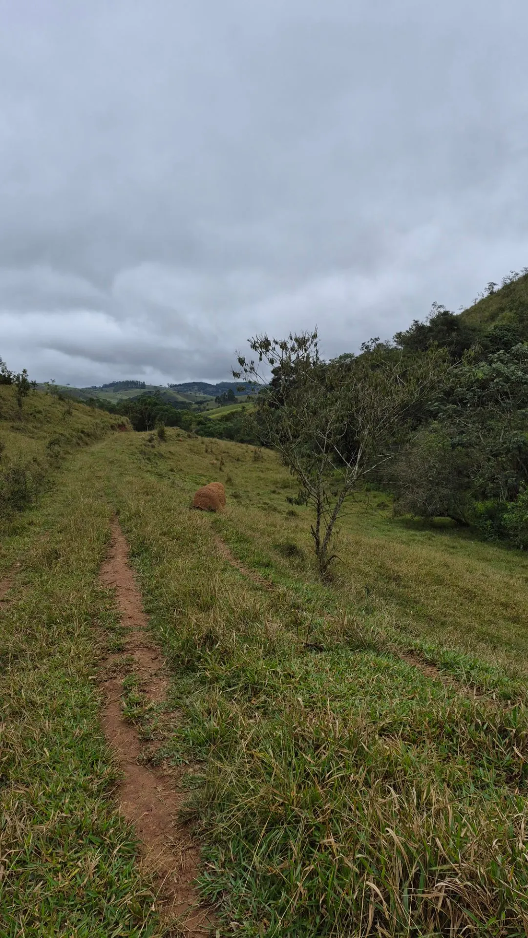 Plot for sale of 5 acres in Cunha, SP, Brazil