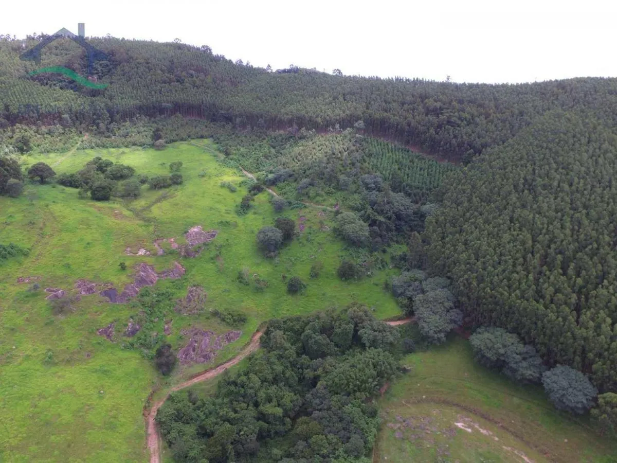 Fazenda à venda de 100 ha em Bragança Paulista, SP, Brasil