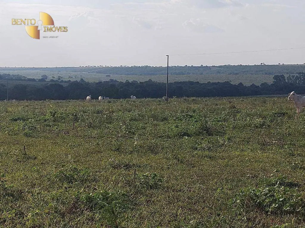 Farm for sale of 8,649 acres in Campo Verde, MT, Brazil
