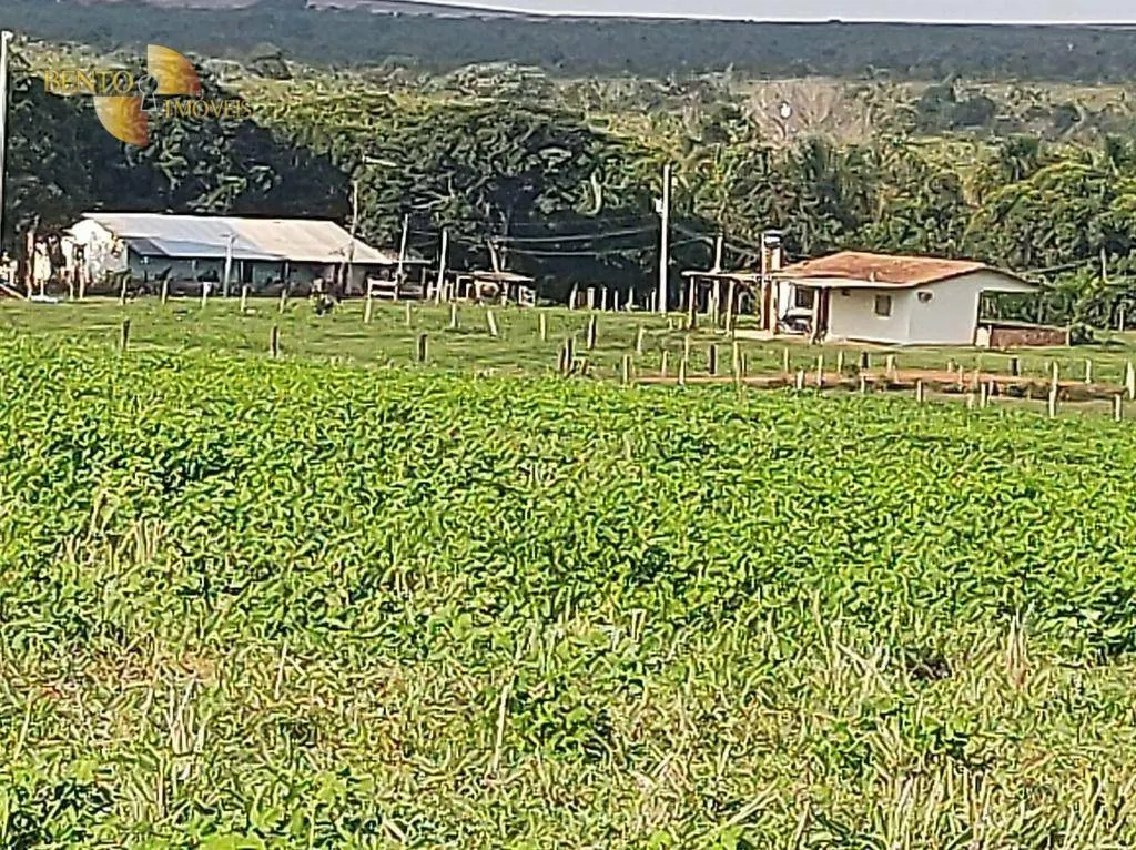 Farm for sale of 8,649 acres in Campo Verde, MT, Brazil
