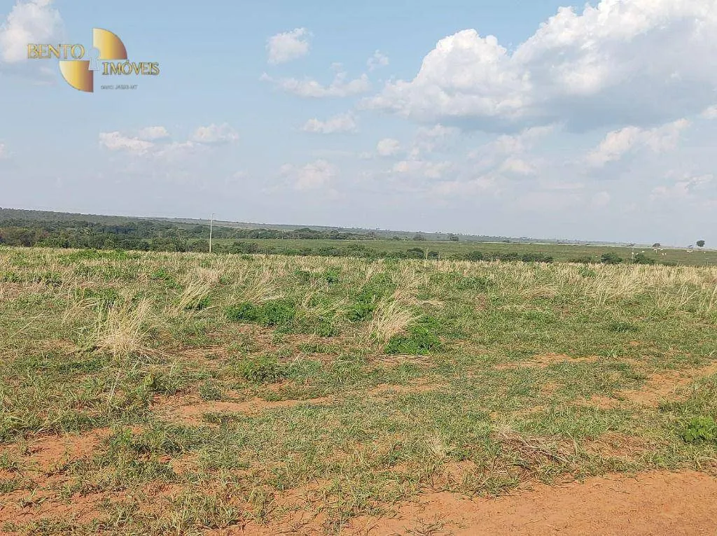 Farm for sale of 8,649 acres in Campo Verde, MT, Brazil