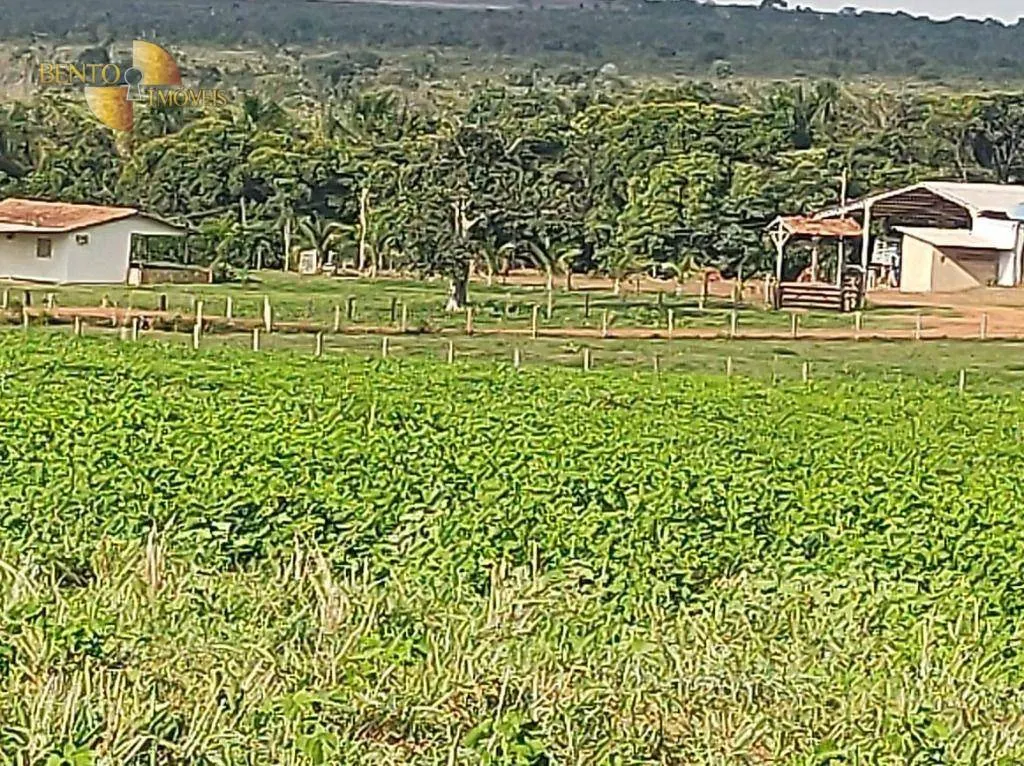 Farm for sale of 8,649 acres in Campo Verde, MT, Brazil