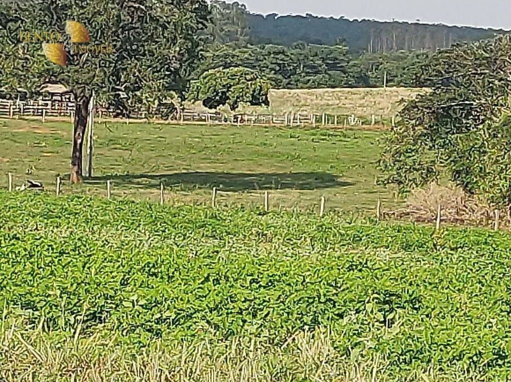 Farm for sale of 8,649 acres in Campo Verde, MT, Brazil