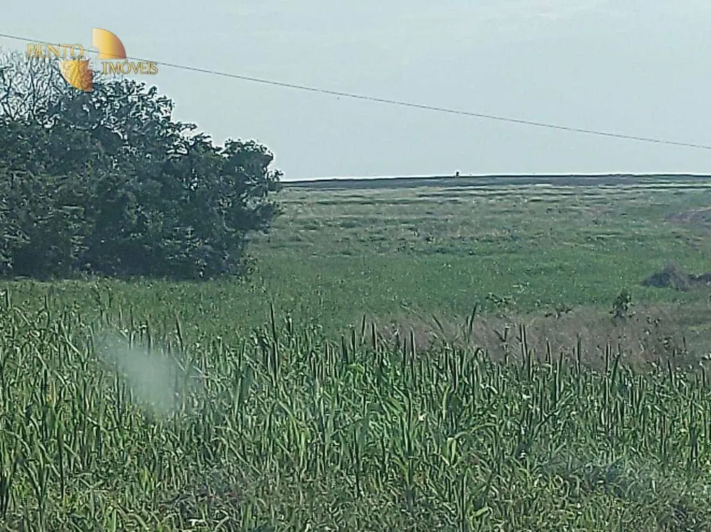 Farm for sale of 8,649 acres in Campo Verde, MT, Brazil