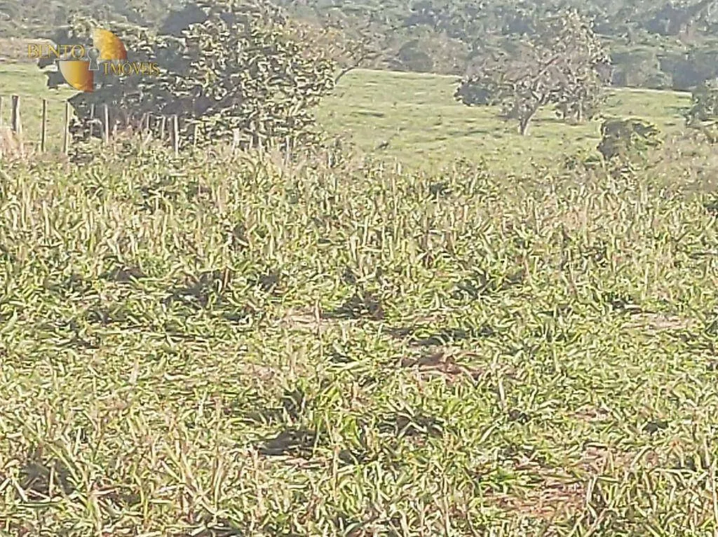 Farm for sale of 8,649 acres in Campo Verde, MT, Brazil
