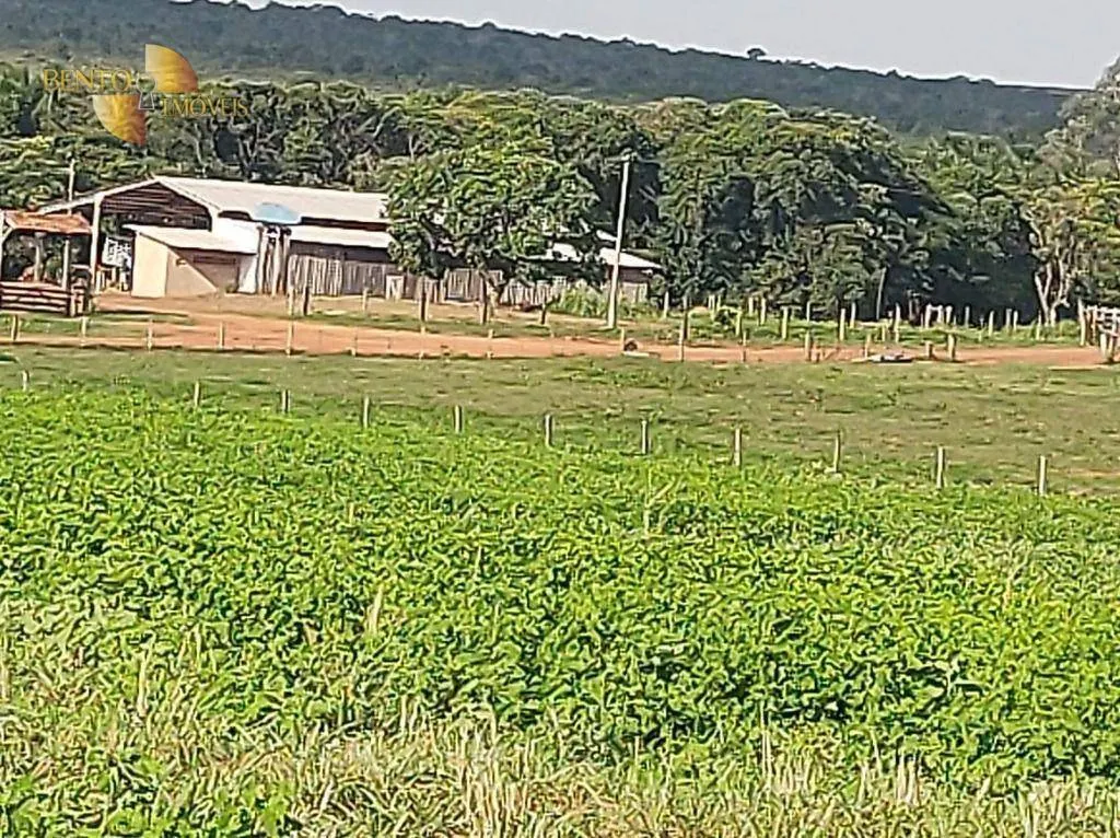 Farm for sale of 8,649 acres in Campo Verde, MT, Brazil