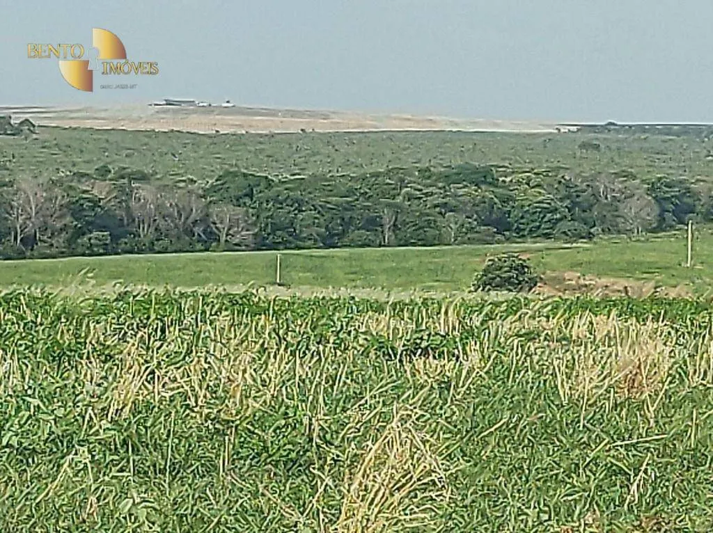 Farm for sale of 8,649 acres in Campo Verde, MT, Brazil