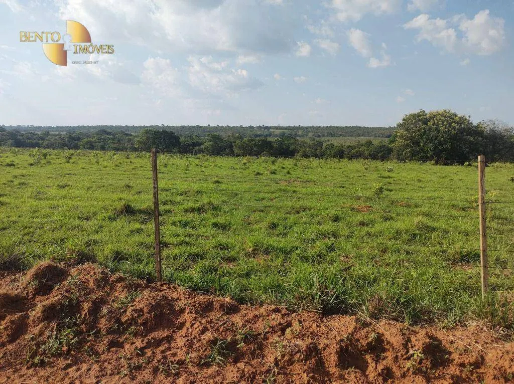 Farm for sale of 8,649 acres in Campo Verde, MT, Brazil