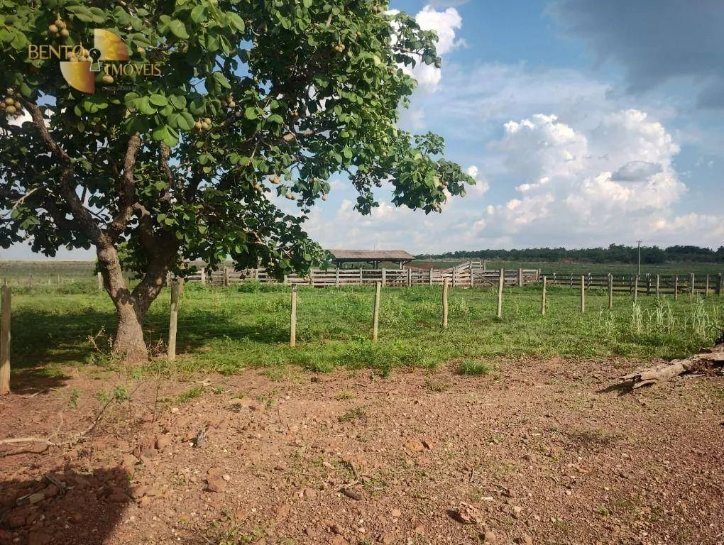 Farm for sale of 8,649 acres in Campo Verde, MT, Brazil