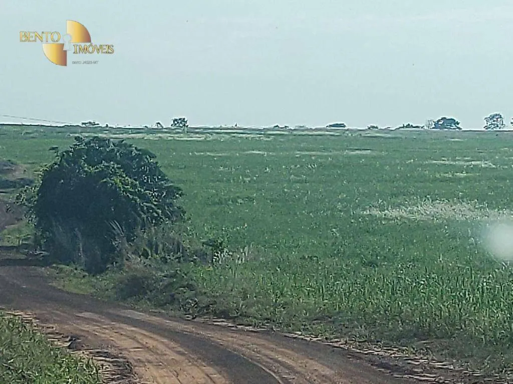 Farm for sale of 8,649 acres in Campo Verde, MT, Brazil