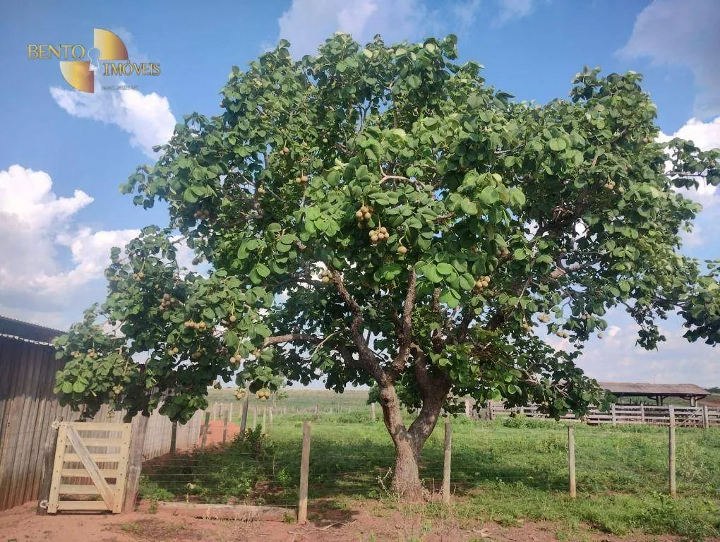 Fazenda à venda de 3.500 ha em Campo Verde, MT, Brasil