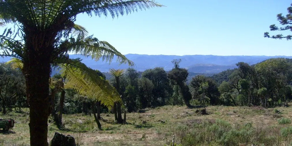 Sítio à venda de 71 ha em Urubici, SC, Brasil