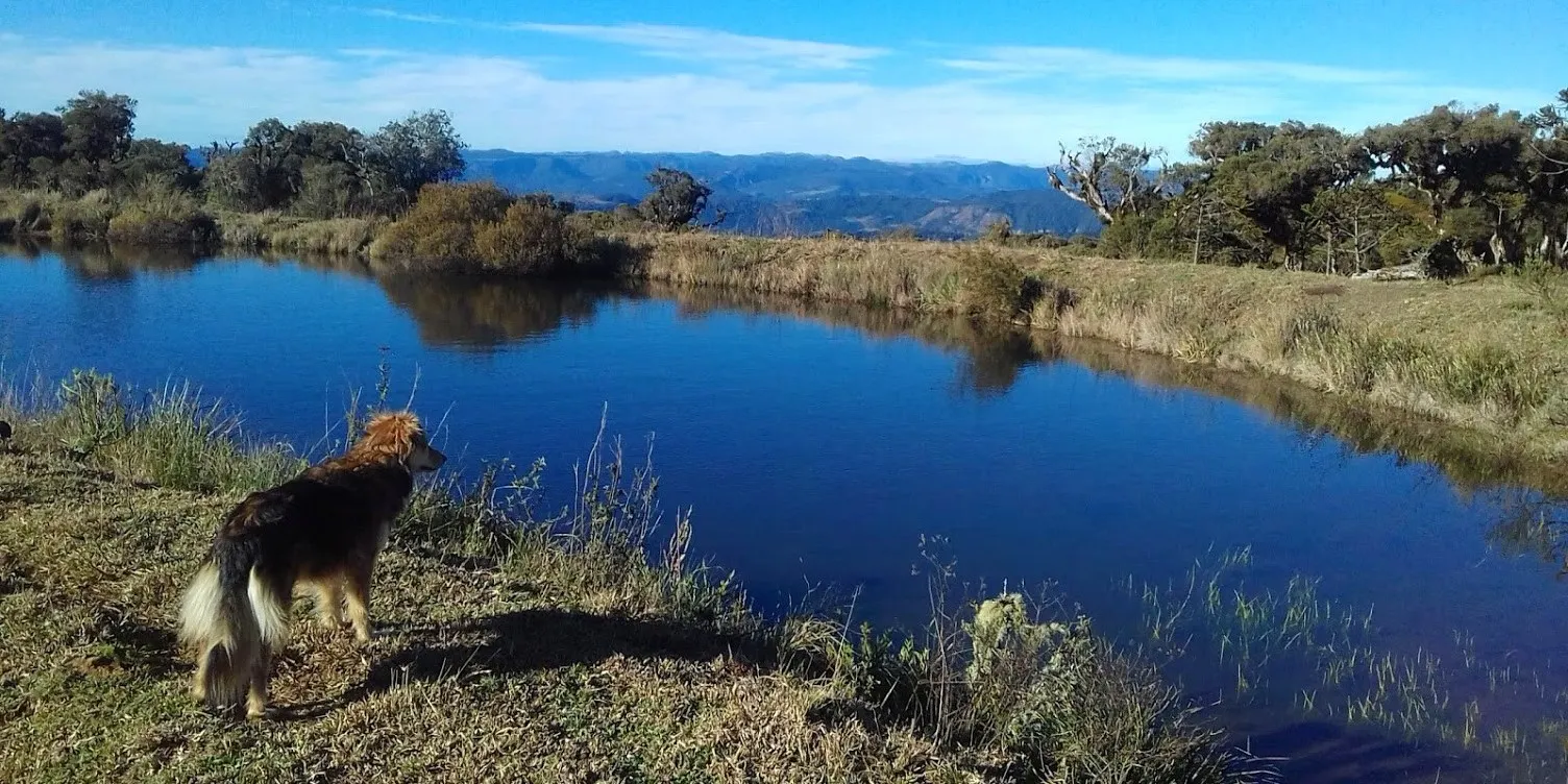 Sítio à venda de 71 ha em Urubici, SC, Brasil
