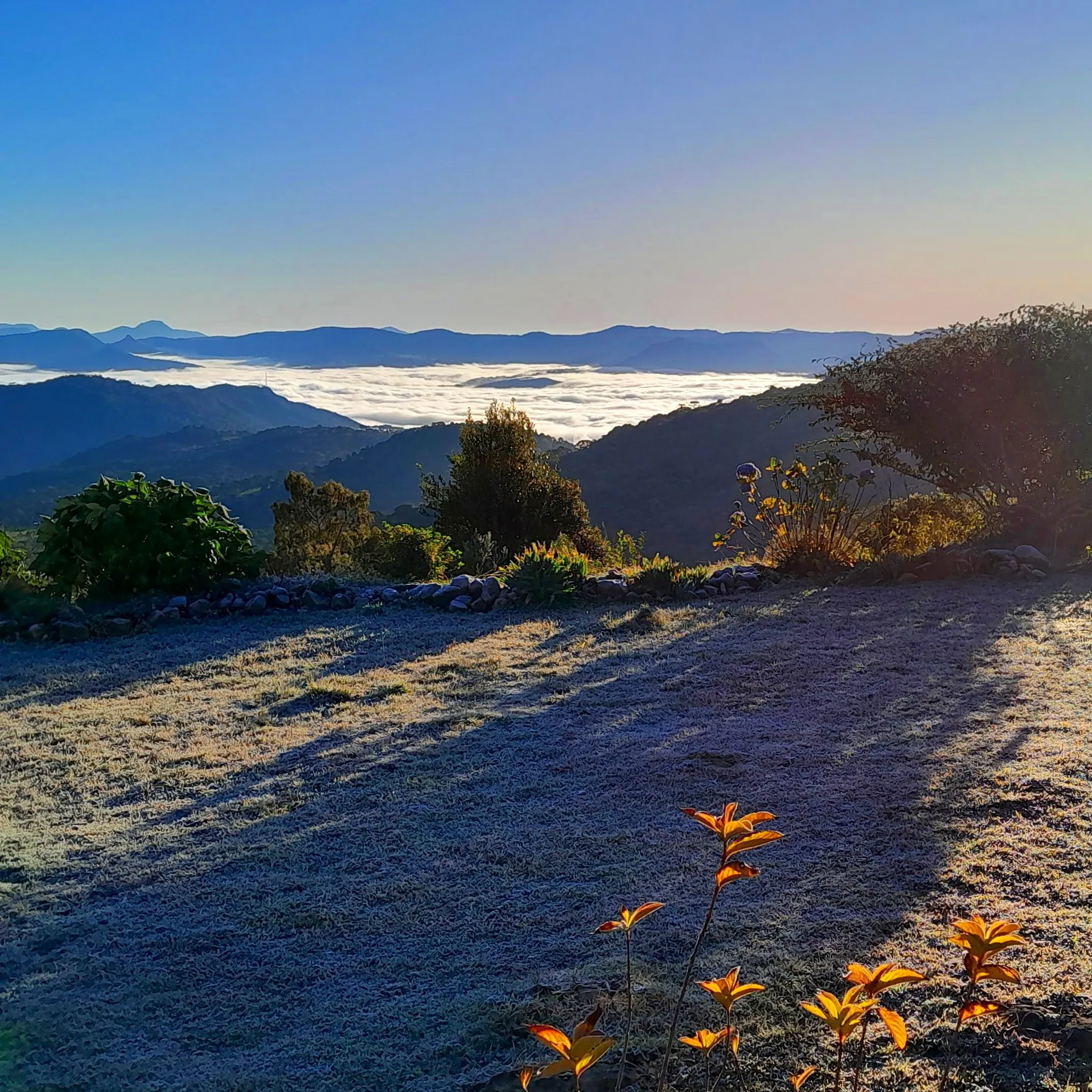 Sítio à venda de 71 ha em Urubici, SC, Brasil