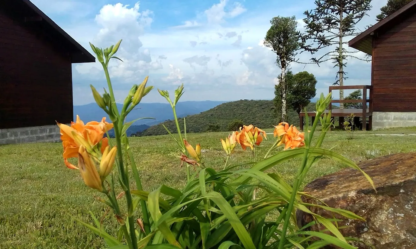 Sítio à venda de 71 ha em Urubici, SC, Brasil