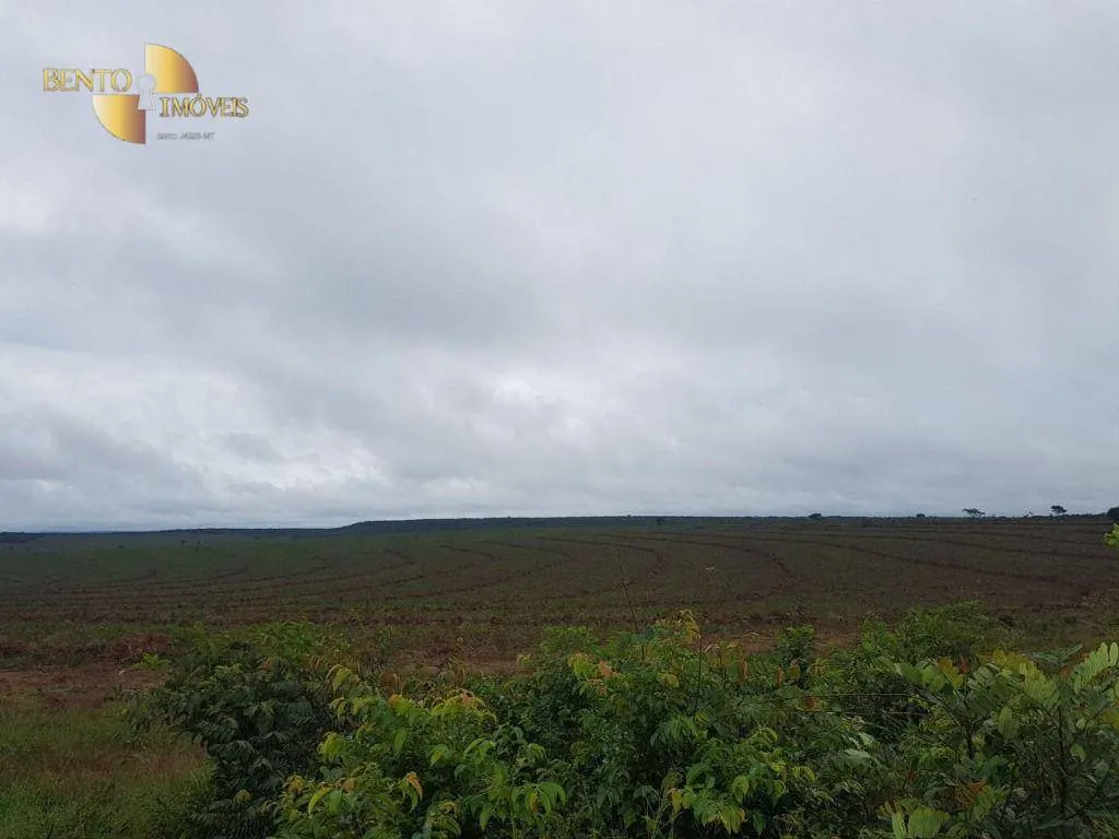 Fazenda à venda de 8.000 ha em Paranatinga, MT, Brasil