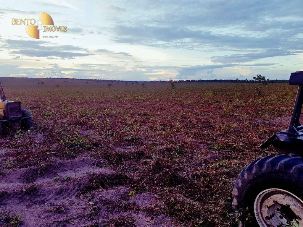 Fazenda à venda de 8.000 ha em Paranatinga, MT, Brasil