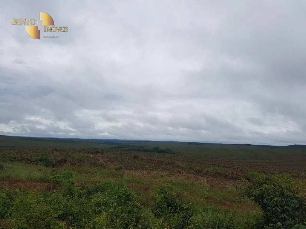 Fazenda à venda de 8.000 ha em Paranatinga, MT, Brasil